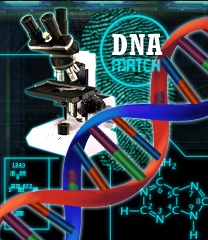 Scientific Breakthroughs Bonus Image