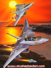 Sundowner Tomcats F-14
