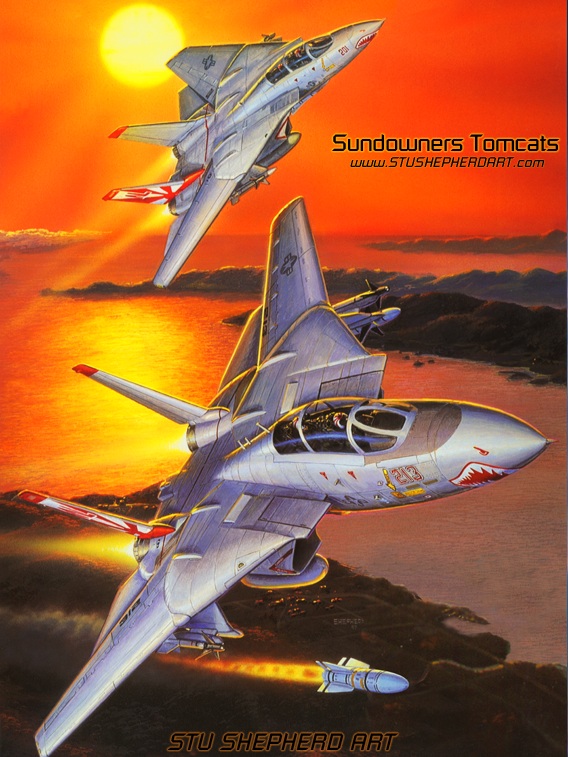 F-14s "Sundowner Tomcats"