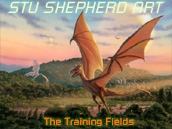 Dragon : The Training Fields