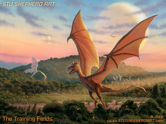 The Training Fields (Dragon)