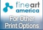 Fine Art America Link